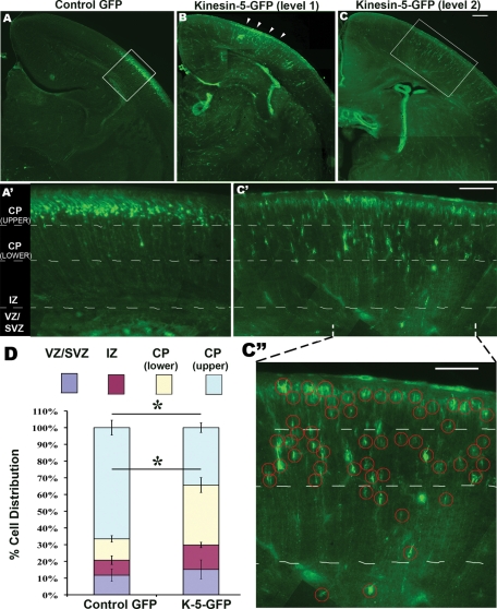 FIGURE 6: