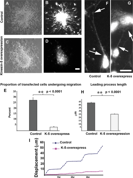 FIGURE 5: