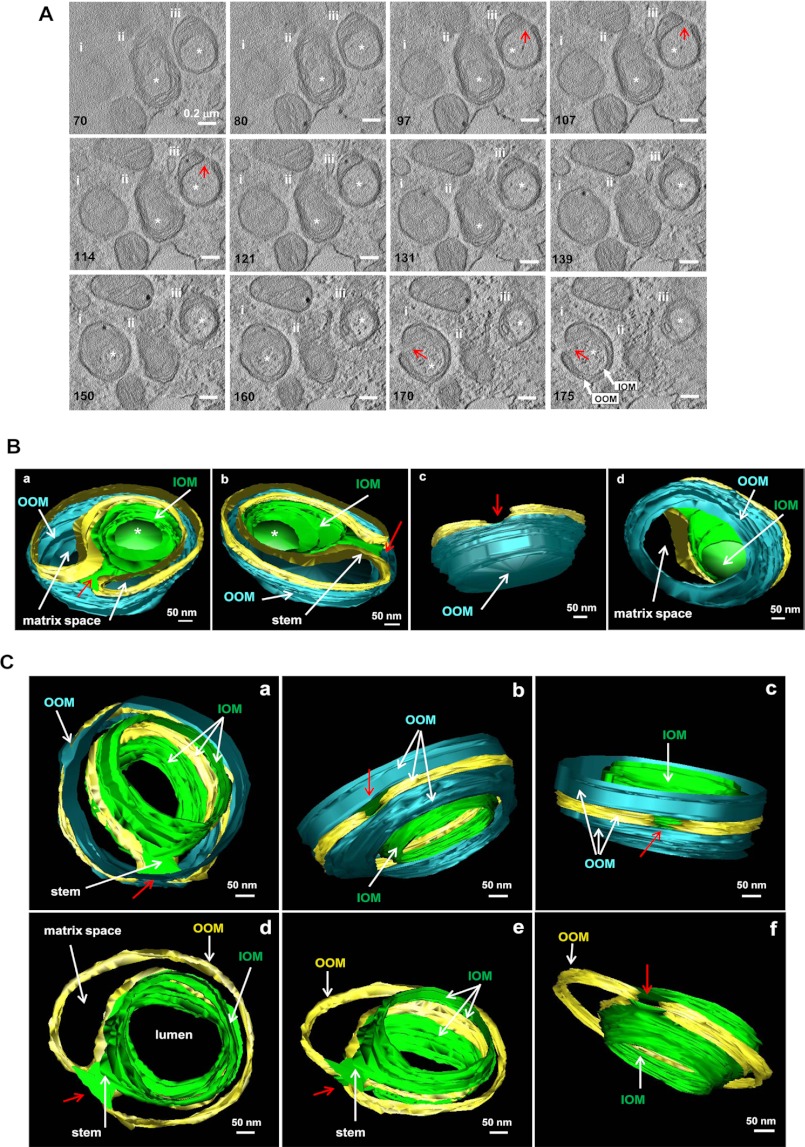 FIGURE 3.