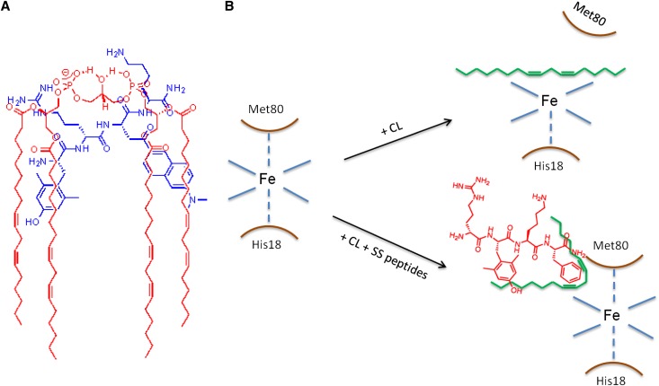 Figure 9.