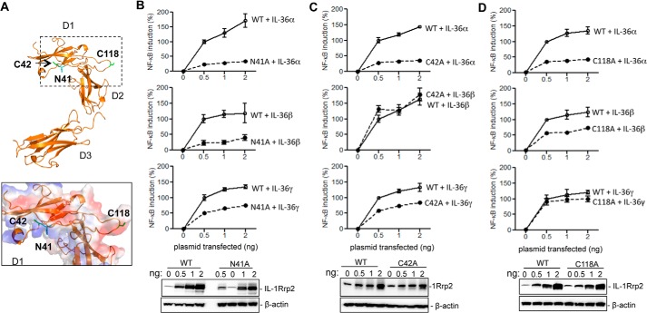 FIGURE 6.