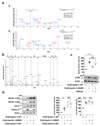 Extended Data Figure 4