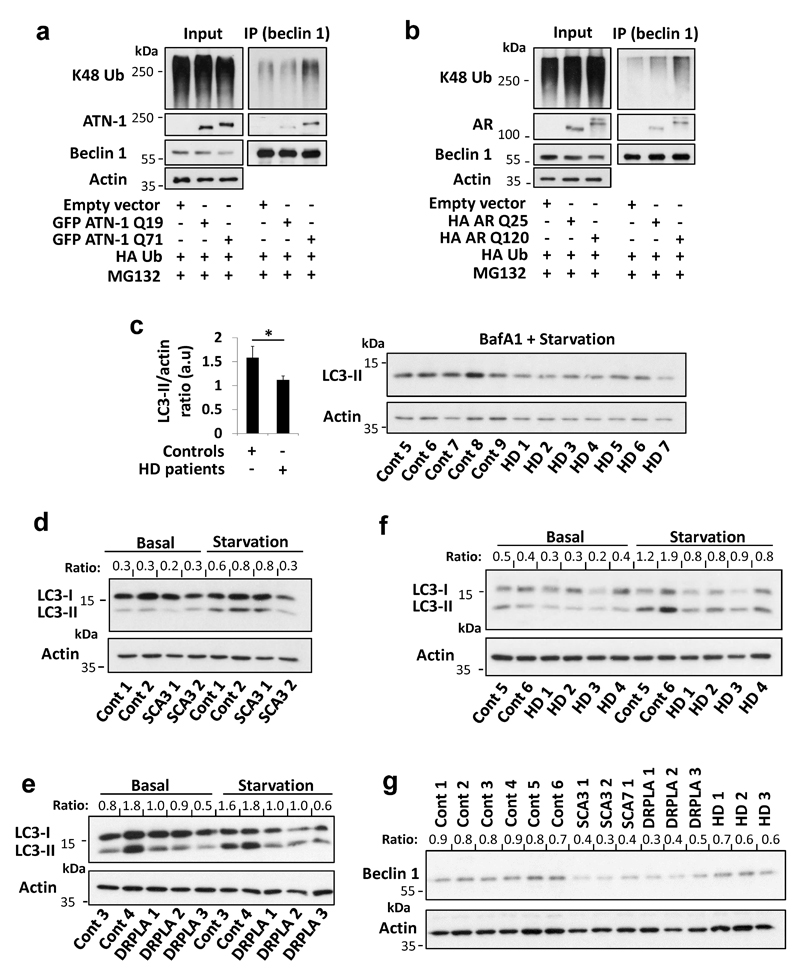 Extended Data Figure 10