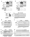 Extended Data Figure 10