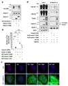 Extended Data Figure 9