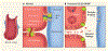 Figure 1 |