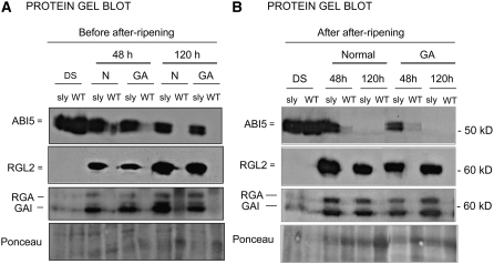 Figure 10.