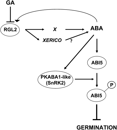 Figure 11.