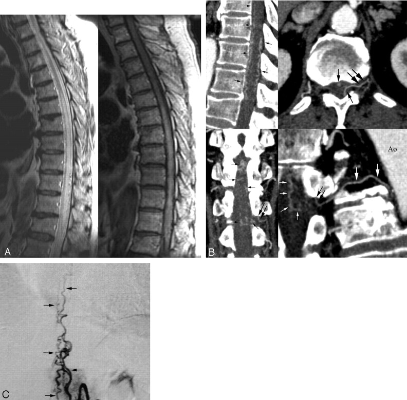 Fig 2.