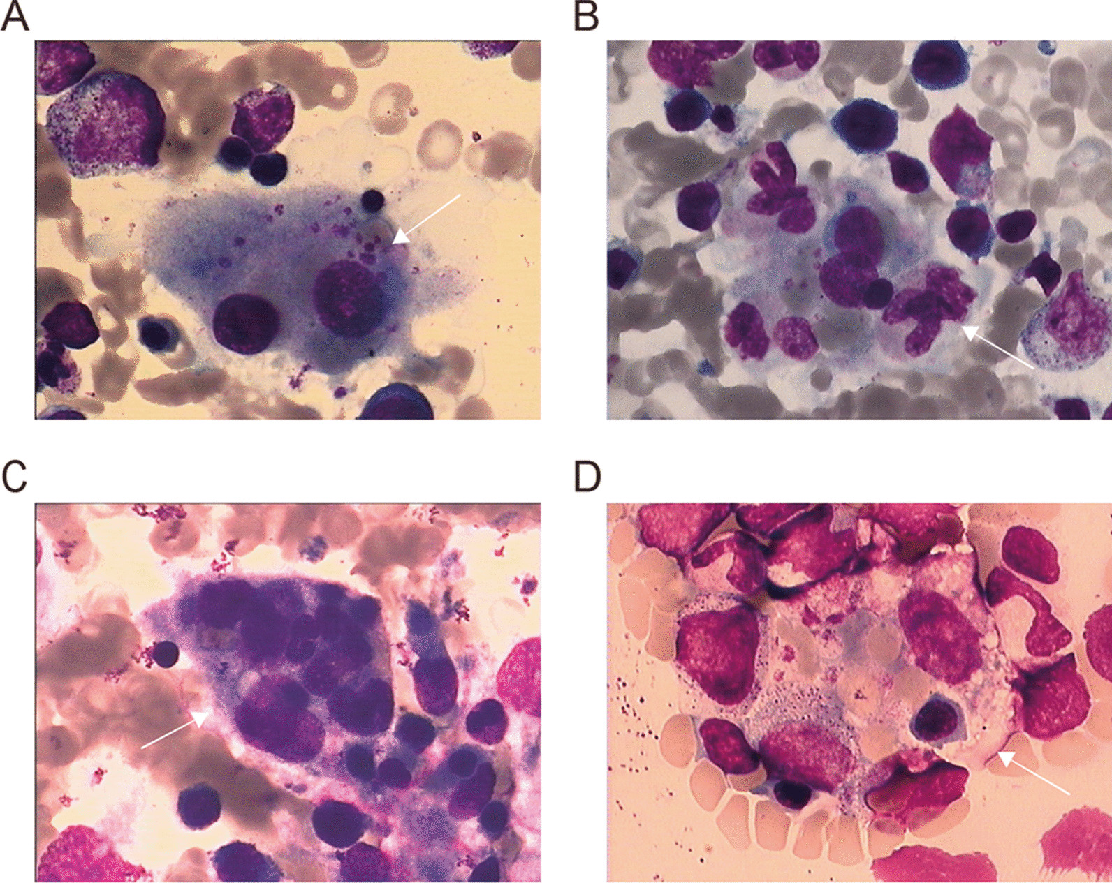 Fig. 1