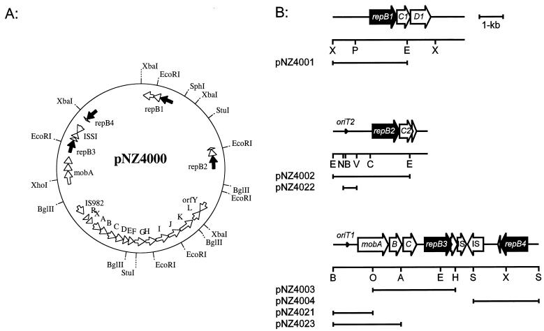 FIG. 1