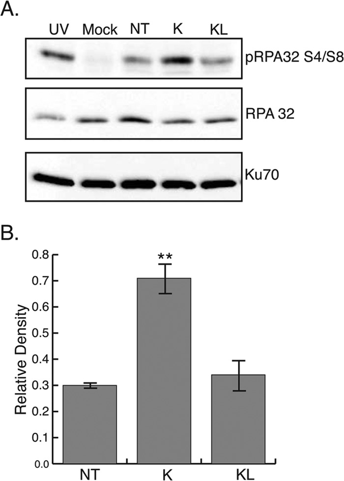 FIG 8