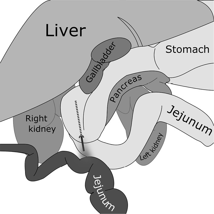 Figure 2.