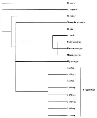 FIG. 3