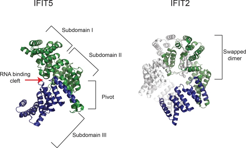 Figure 2—figure supplement 2.