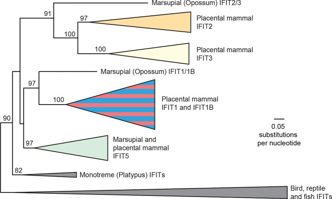 Figure 3—figure supplement 1.