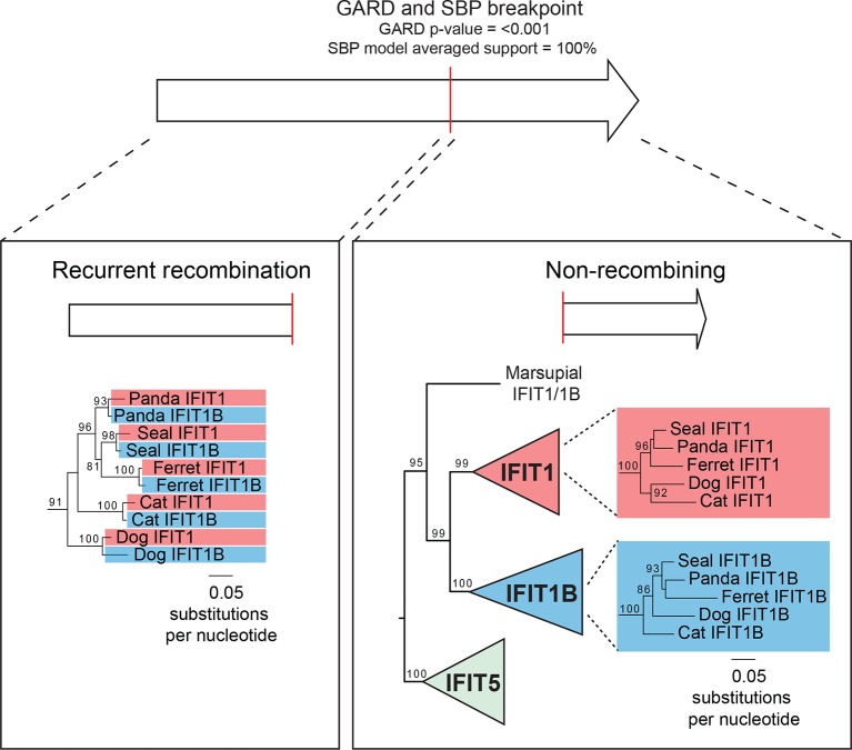 Figure 3—figure supplement 2.