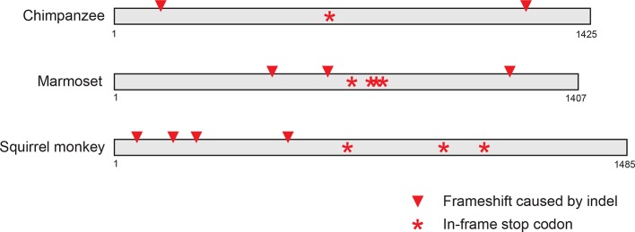 Figure 3—figure supplement 4.