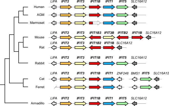 Figure 2—figure supplement 4.