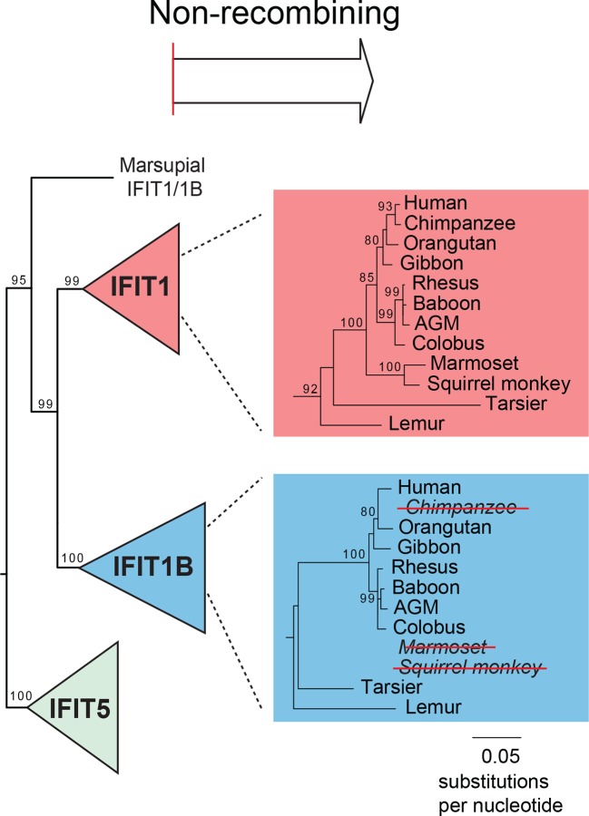 Figure 3—figure supplement 3.