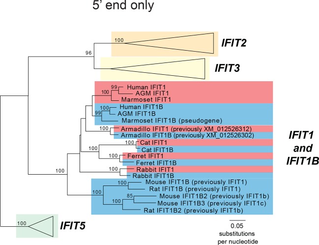 Figure 2—figure supplement 3.