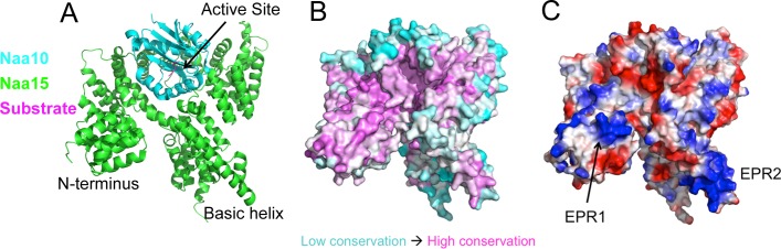 Fig 3