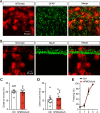Figure 2—figure supplement 4.