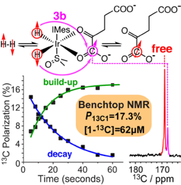 graphic file with name nihms-1865680-f0001.jpg