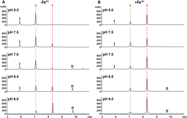 Fig. 6