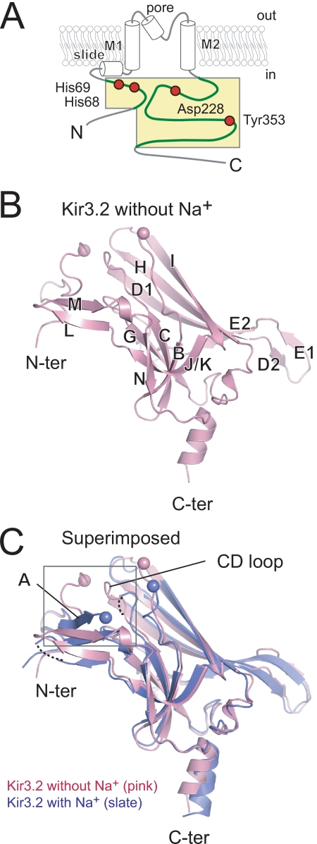 FIGURE 1.