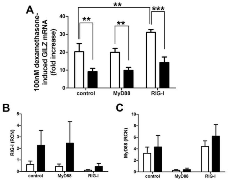 FIG 2