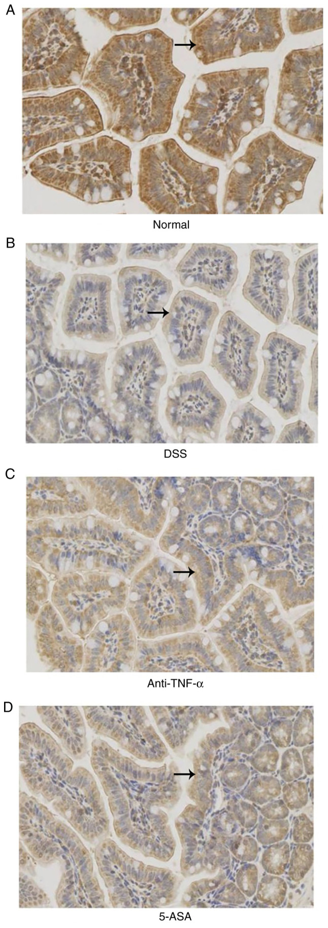 Figure 5.