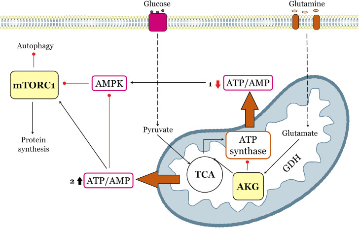 Fig 3