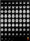 Figure 5—figure supplement 1.