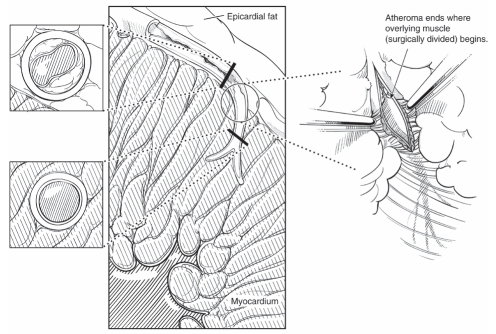 Figure 1)