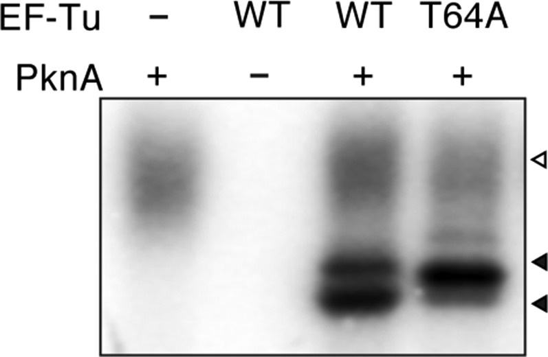 Fig. S3.