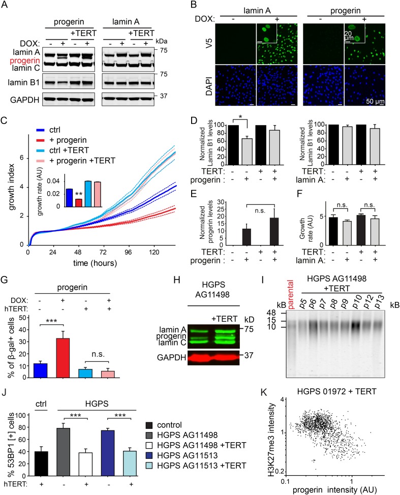 Figure 1—figure supplement 1.