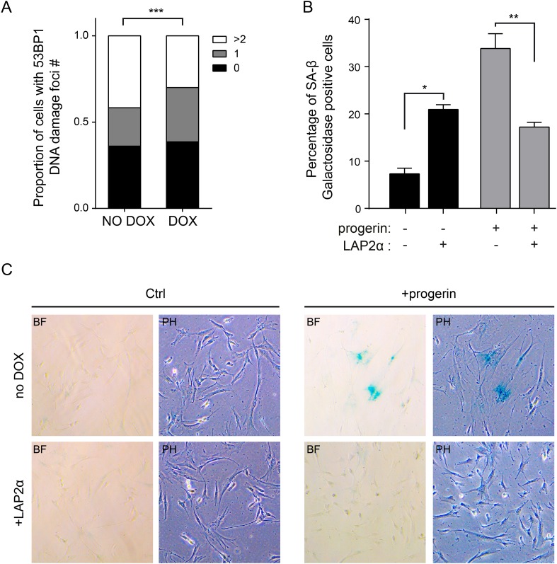 Figure 5—figure supplement 2.