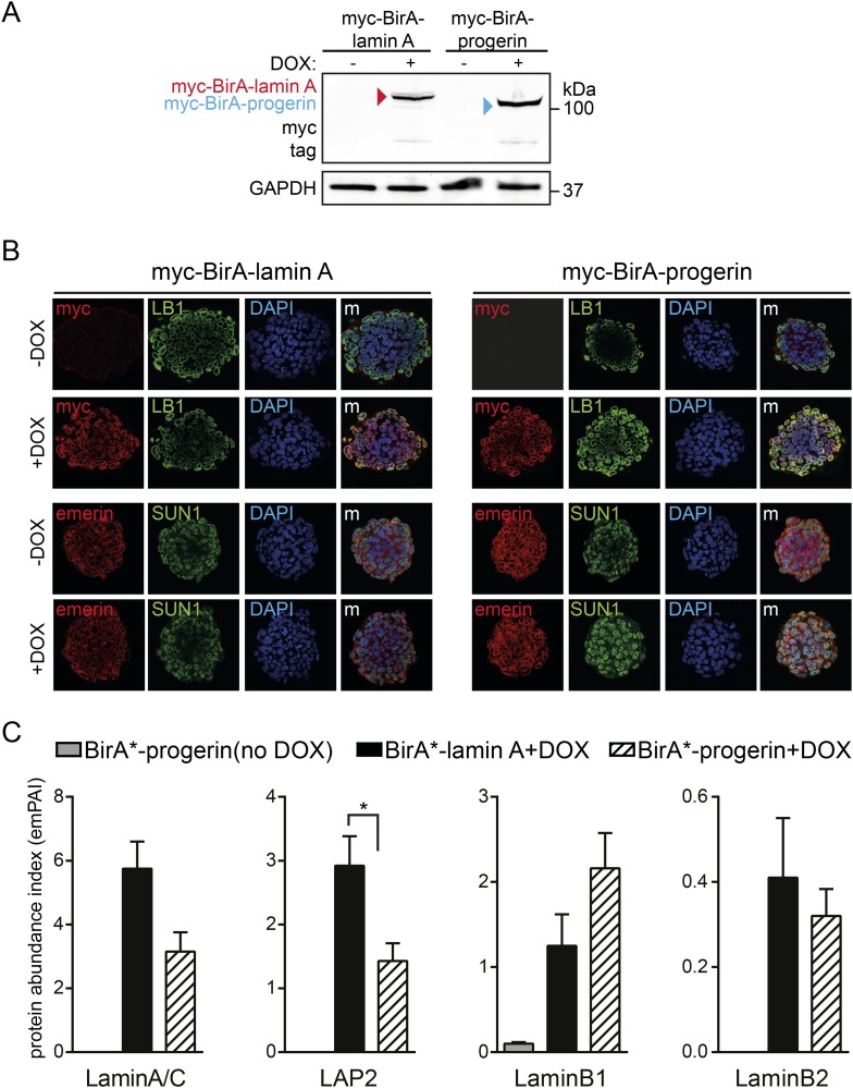 Figure 3—figure supplement 2.