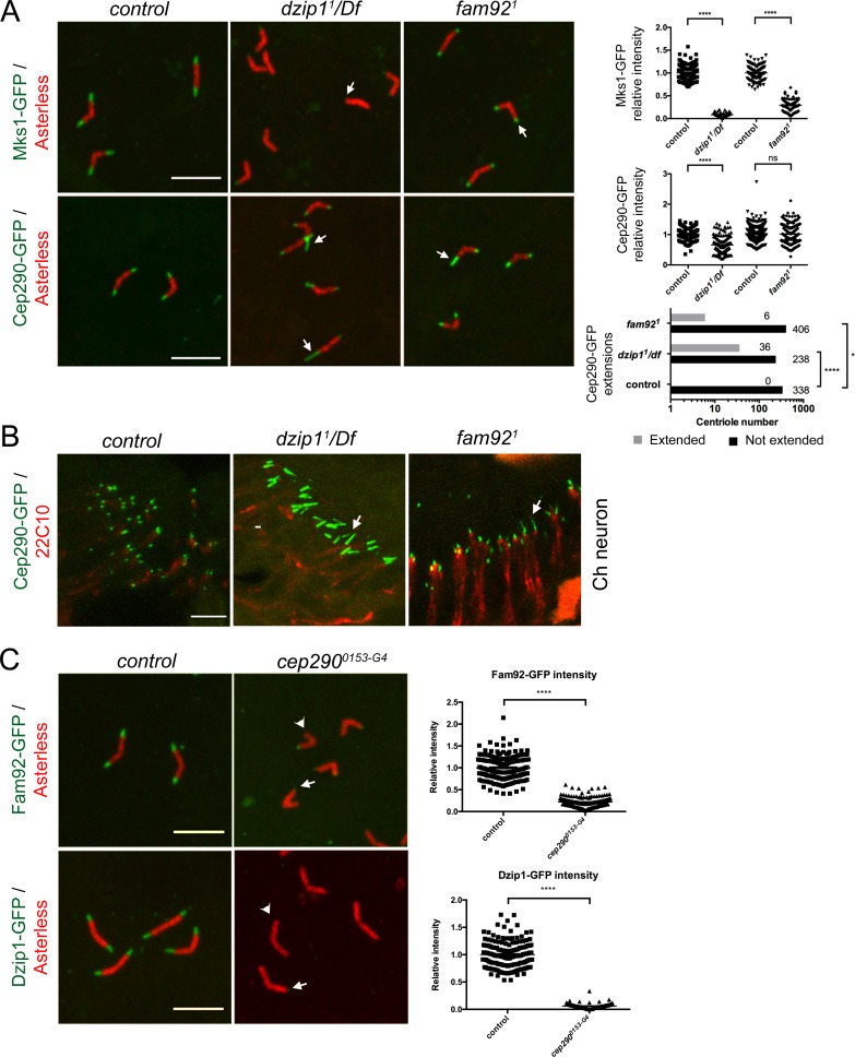 Figure 6.