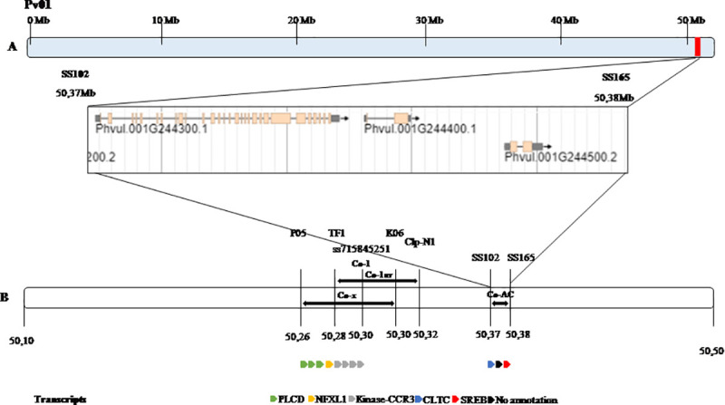 Fig 2