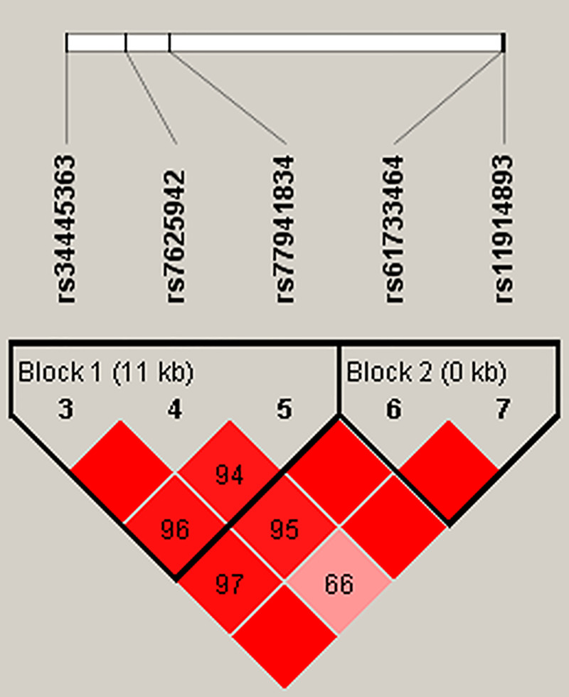 Fig 1