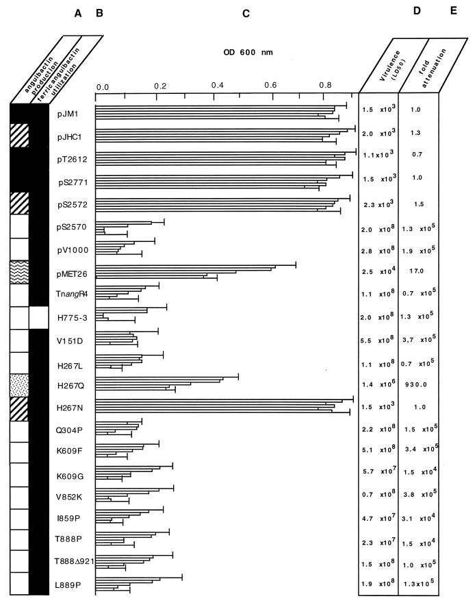 FIG. 5