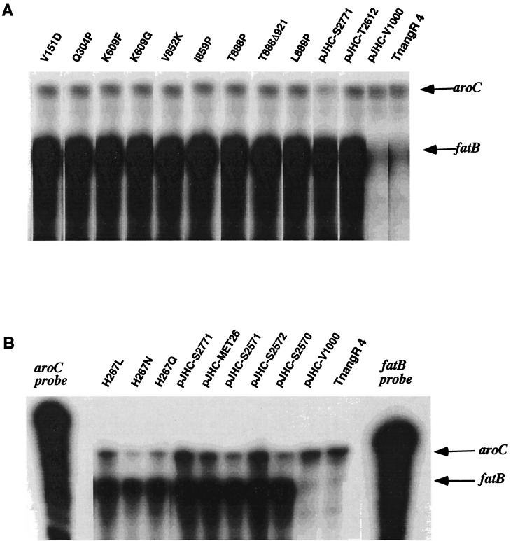 FIG. 6