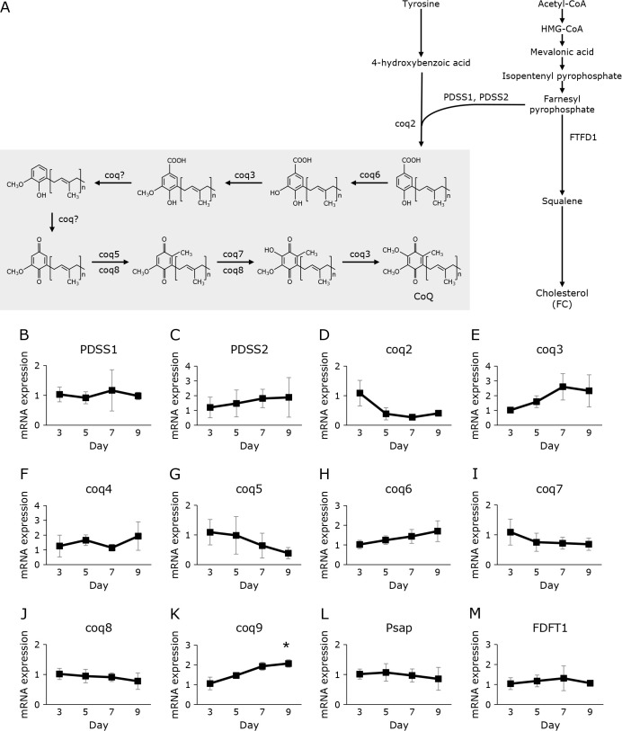 Fig. 4.