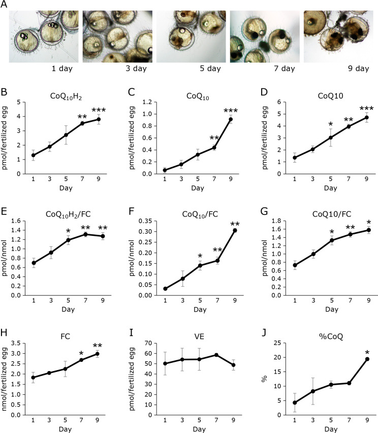 Fig. 3.