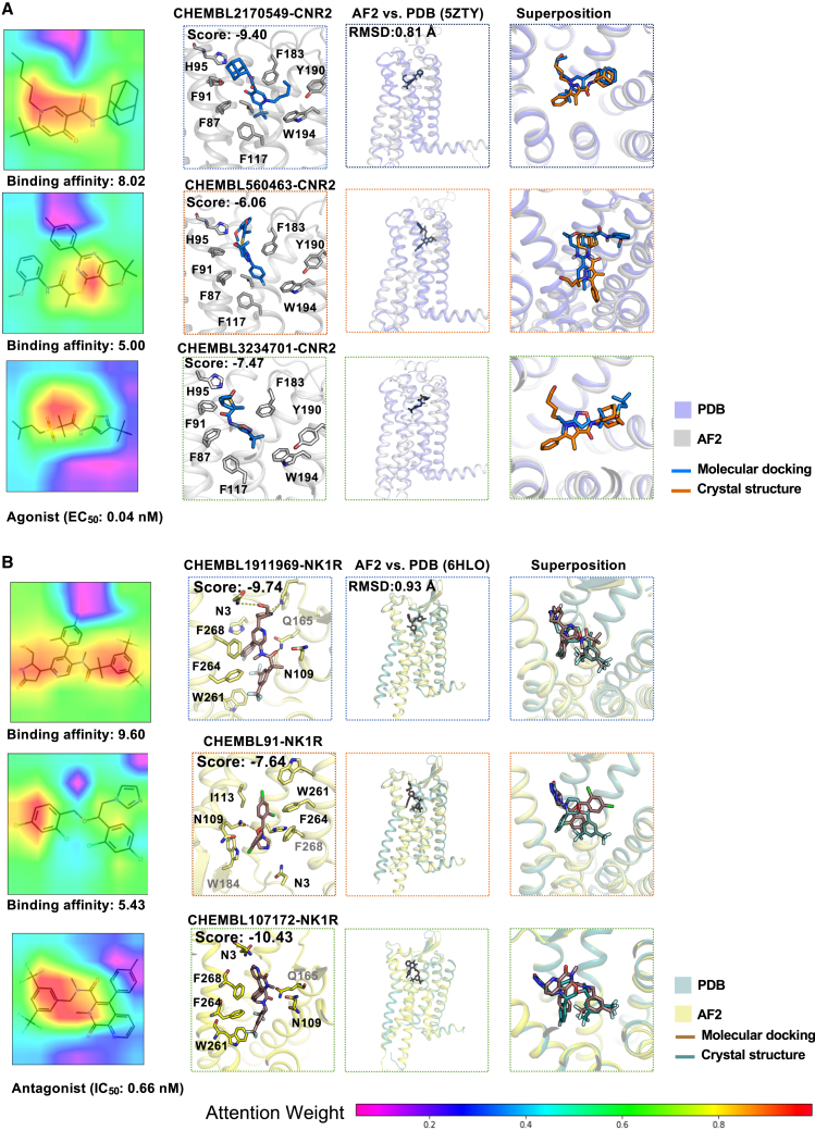 Figure 3