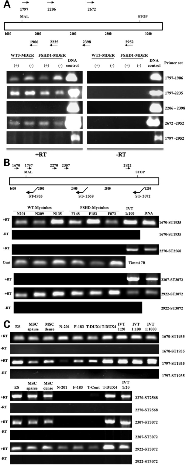 Figure 2.