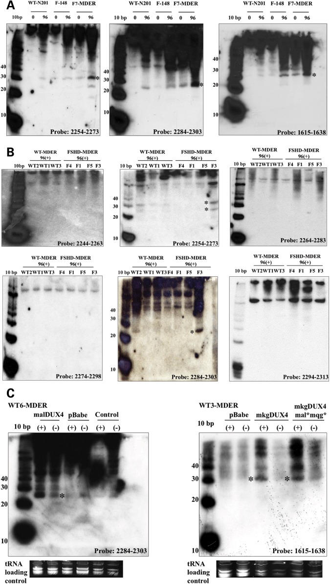 Figure 4.