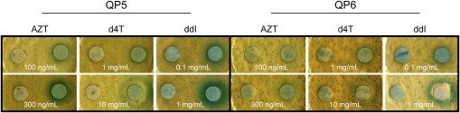 Fig. 3.